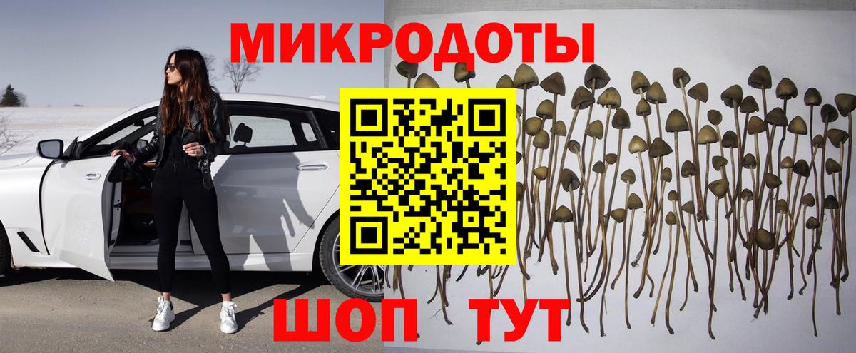 Галлюциногенные грибы прущие грибы Чайковский