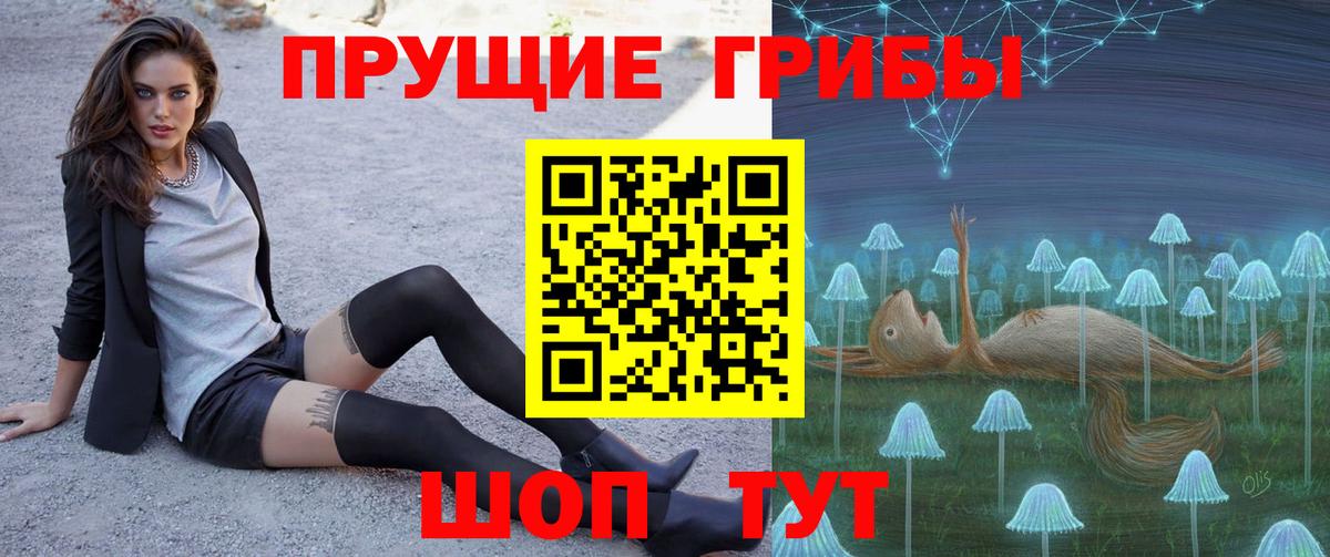 Чайковский  Галлюциногенные грибы прущие грибы  Вход с VPN 